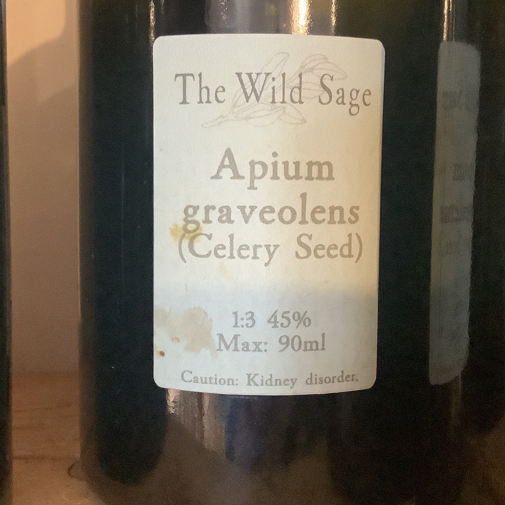 Apium Graveolens Celery Seed Tincture 100ml The Wild Sage